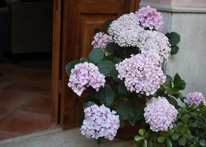 公寓式酒店 雪绒花公寓式酒店 2*