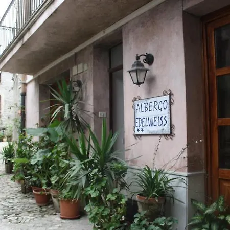 Edelweiss Erice