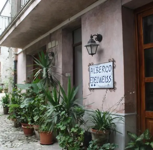 Edelweiss Erice